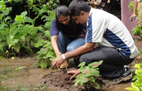 Team Suhrid doing plantation of medicinal plants at Toplepada