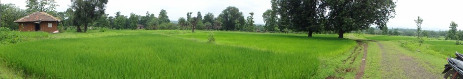 View from Nandelpada School