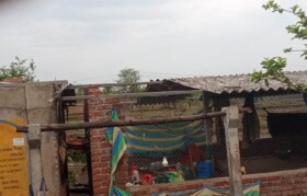 Houses impacted by cyclone