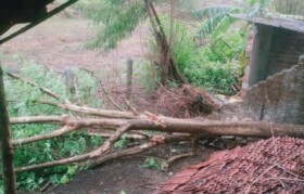 Houses impacted by cyclone